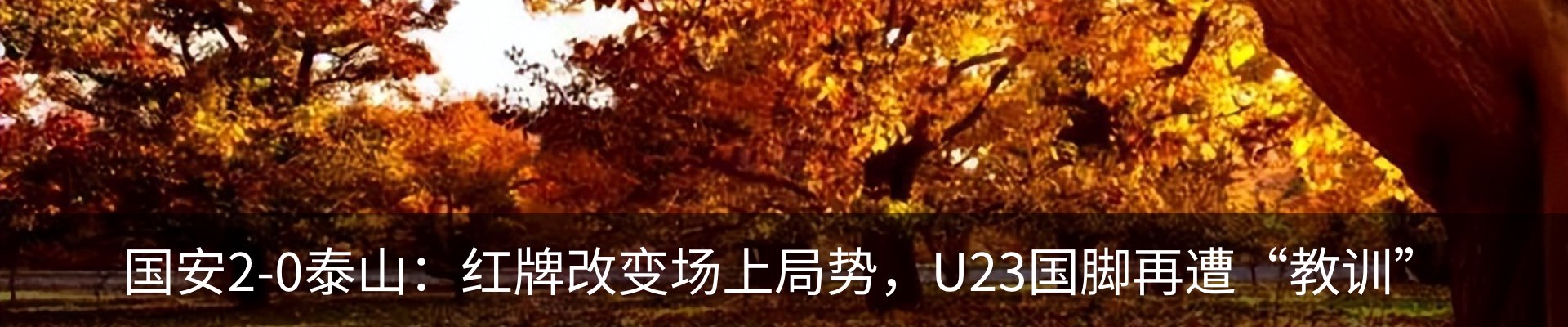 行业资讯