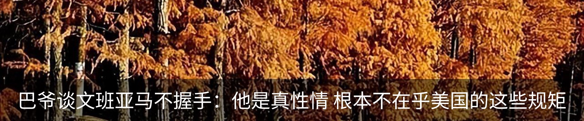 行业资讯